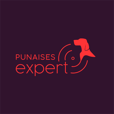PUNAISES EXPERT