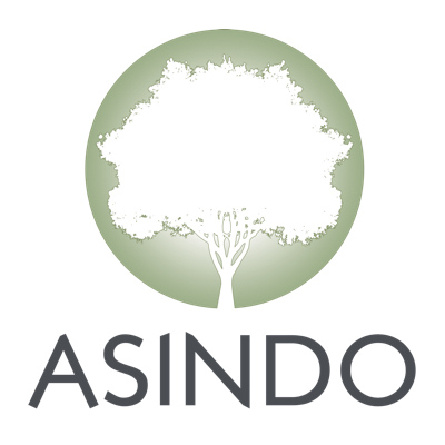 ASINDO Ltd